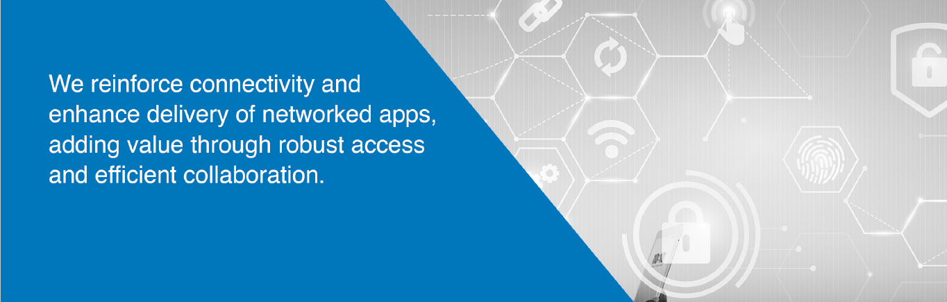 Networking Solution